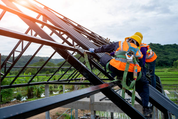 Best Flat Roof Repair Services  in Rosemont, IL